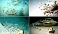 See the graveyard of turtles in the mysterious sea cave