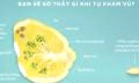 Self-check for signs of breast cancer through sliced ​​images of lemon