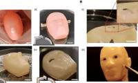 Self-reproducing living robots: Scientific breakthrough and potential consequences!
