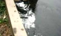 Severe environmental pollution in flooded areas