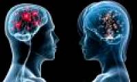 Sex map on female brain