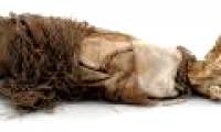 Shivered by scary abortions that date back to ancient times