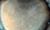 Shock images: Spaceship captures... tree stumps on another planet?