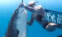 Shocking image of the scuba diver hypnotizing the world's most ferocious shark