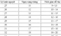 Signs of ovulation and how to calculate ovulation accurately