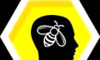 Similarities between the activity of human brain and bee