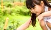 Simple ways to teach children about science