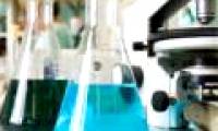 Singapore found a mechanism to make cancer cells 'suicide'