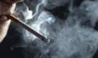 Smoking can kill 8 million people every year