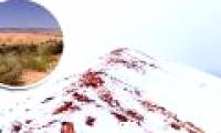 Snow is dyed red like blood covering the Sahara desert