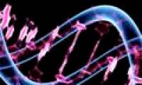 Sony established a joint venture to study genetic code
