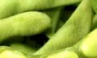 Soy compound helps treat HIV