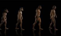 Special mechanisms in human evolution suggest the intervention of external intelligence!