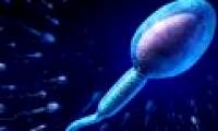 Sperm selection device: new hope in treating infertility