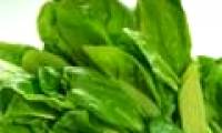 Spinach helps reduce cravings and prevents obesity