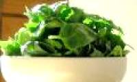 Spinach is good for diabetics
