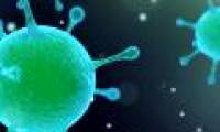 Sputnik - the virus shocked the entire world of scientific research by signing up ... another virus
