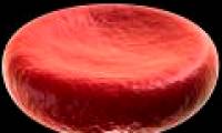 Stem cells help increase red blood cell production