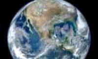 Stink ever dominated the earth