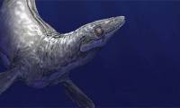 Strange 94 million year old sea monster 'emerges' in the middle of national park