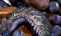 Strange creatures on the ocean floor
