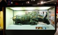 Strange dinner with stew made from 50,000-year-old bison mummified meat