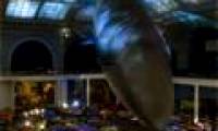 Strange feeling in the dark night at the museum