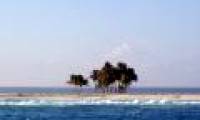 Strange island researcher off the coast of Mexico