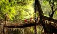 Strange life in the 'wettest place in the world'
