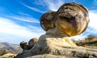Strange: 'Living' rocks can grow, multiply and move - VN Intellectual