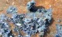 Strange minerals form on the remains and make the bones green