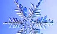 Strange shapes of snowflakes