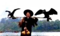 Strange sight of fishermen by ... cormorants
