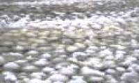 Strange snowball waves on the surface of the American lake