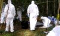Strange story about murderer