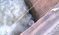 Strange way of catching fish: Dropping a bucket at the foot of the bridge with fast-flowing water, the group of people harvested unexpectedly