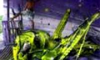 Street art: The idea of ​​interesting recycling of trash