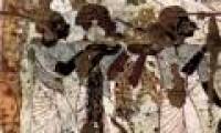 Study ecosystem from ancient Egyptian paintings