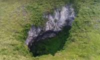 Stunned by the flora and fauna inside the world's deepest sinkhole