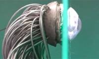Successful fabrication of biological eyes