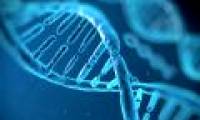 Successful HIV virus isolation test, promising to completely cure this disease