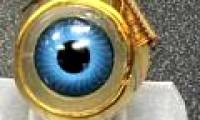 Successfully assembled electronic eye circuits