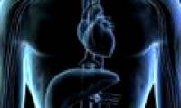 Successfully attached micro sensor to heart tissue