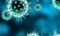 Successfully created deadly flu virus in the laboratory