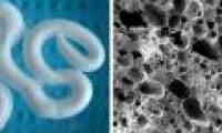 Successfully developed a foam that helps damaged bones recover quickly
