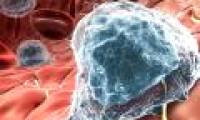 Successfully tested anti-cancer vaccine - 12 people cured