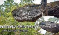 Suddenly discovered a giant snake cave