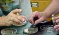 Sugar-coated antibiotics