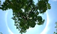 Sun halos appearing in some provinces: Can signal prolonged heat