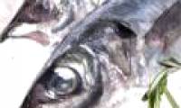 Sunlight affects the content of mercury in fish
